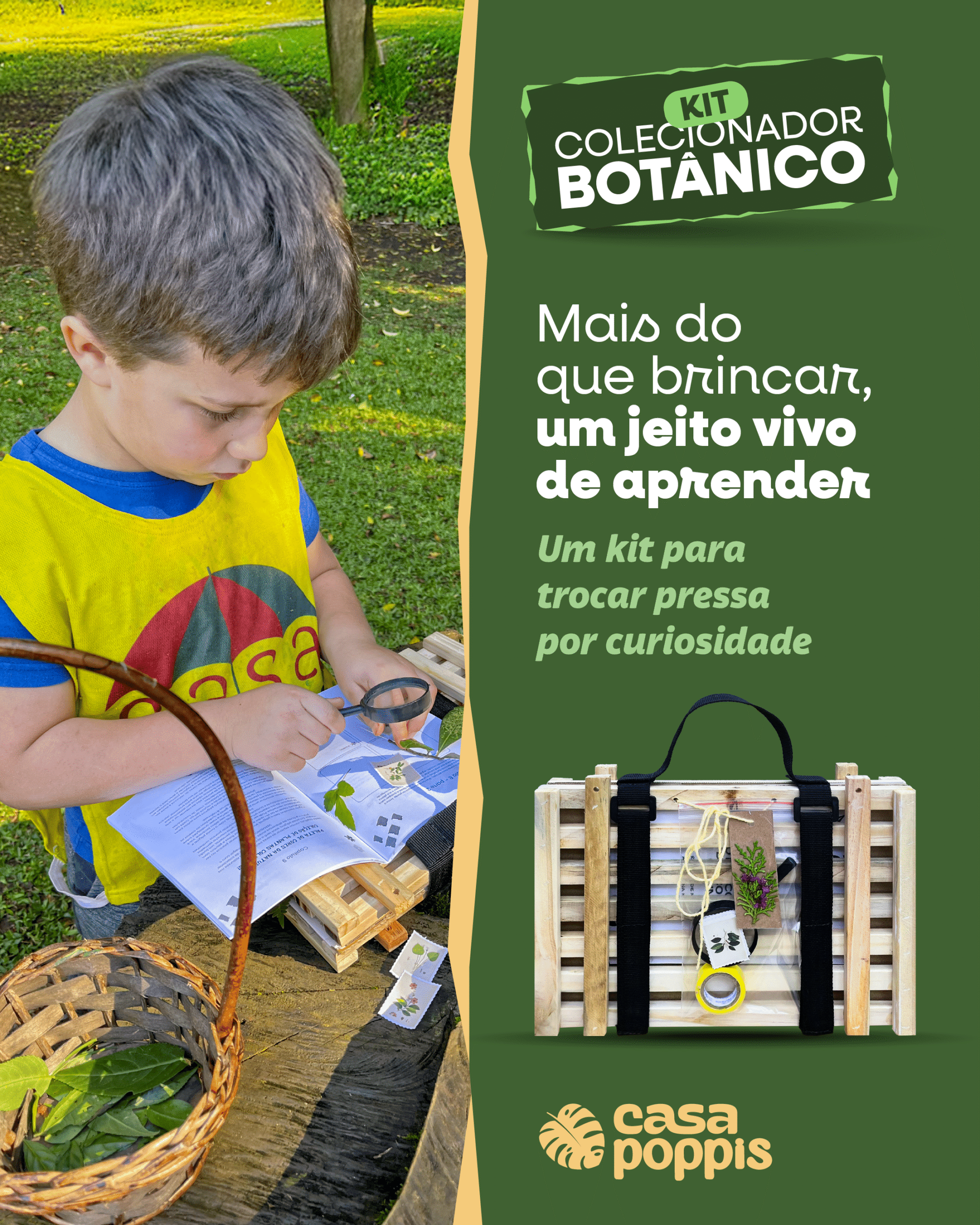 Kit Colecionador Botânico